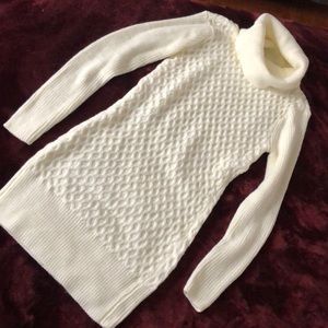 NWOT turtleneck sweater dress